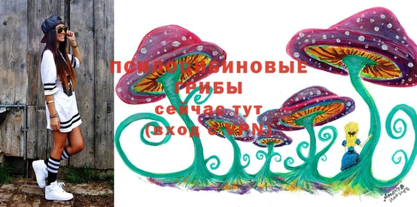 спиды Алексин