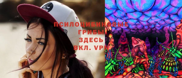 спиды Алексин