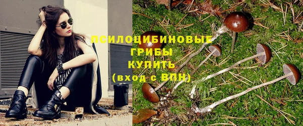 спиды Алексин