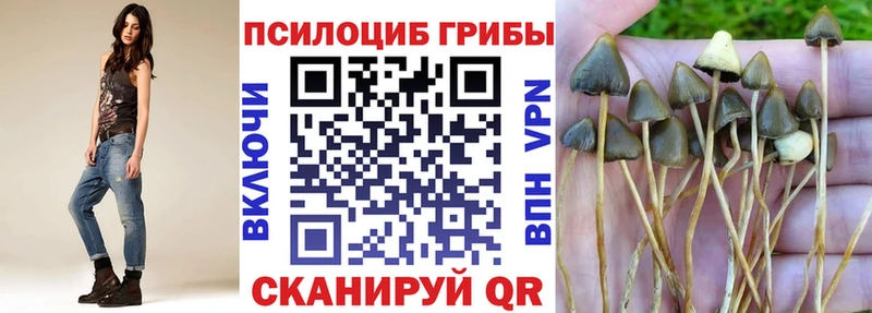 Галлюциногенные грибы мухоморы Люберцы